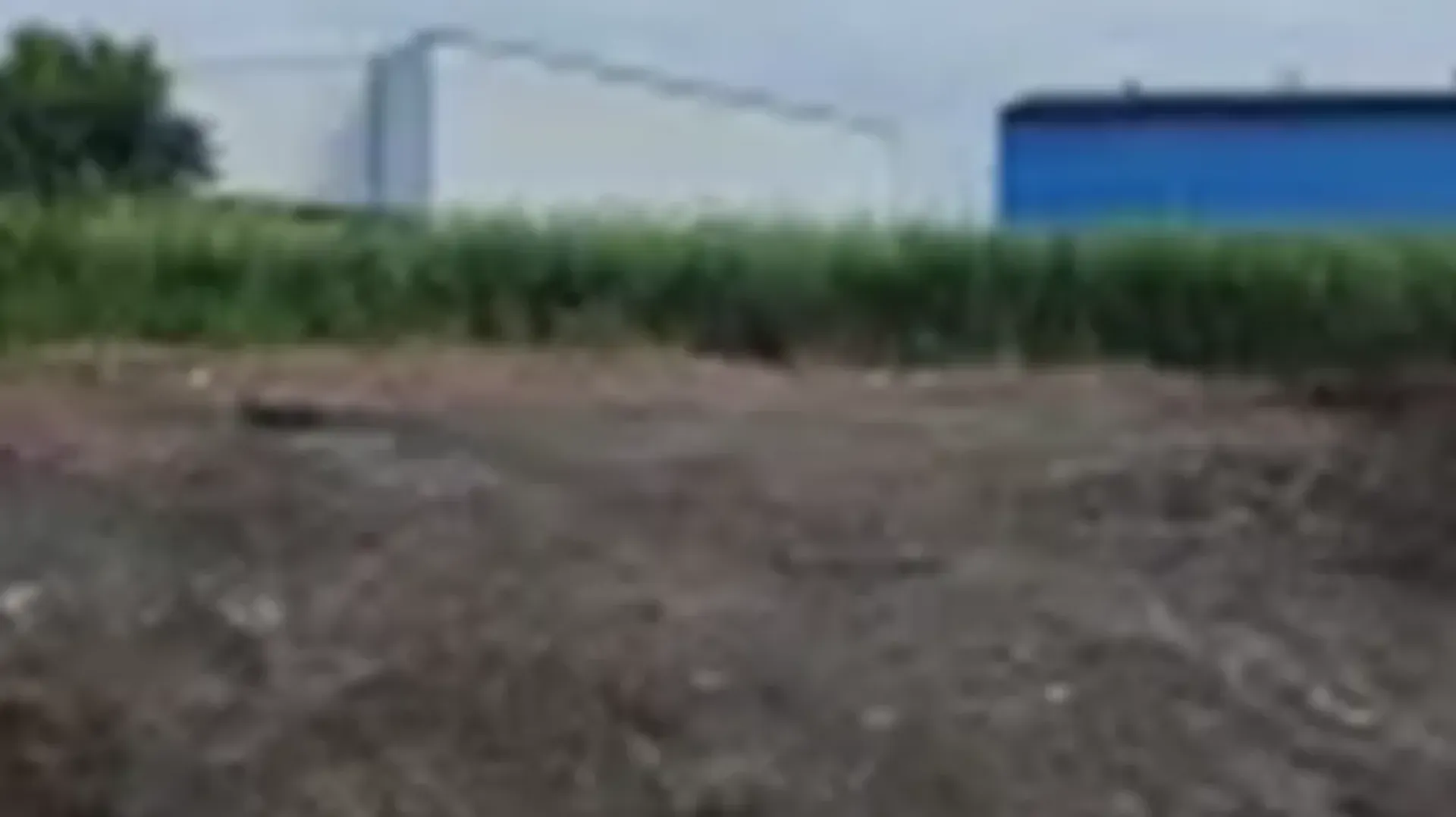 Junglepur Jalan | Vacant Land